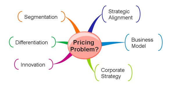 Pricing Goals And Issues 