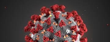 Coronavirus emergency: here's what we know so far | UN News